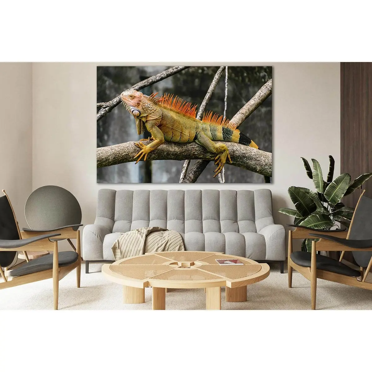 Iguana Sitting On A Branch №Sl1506 Ready To Hang Canvas Print 1