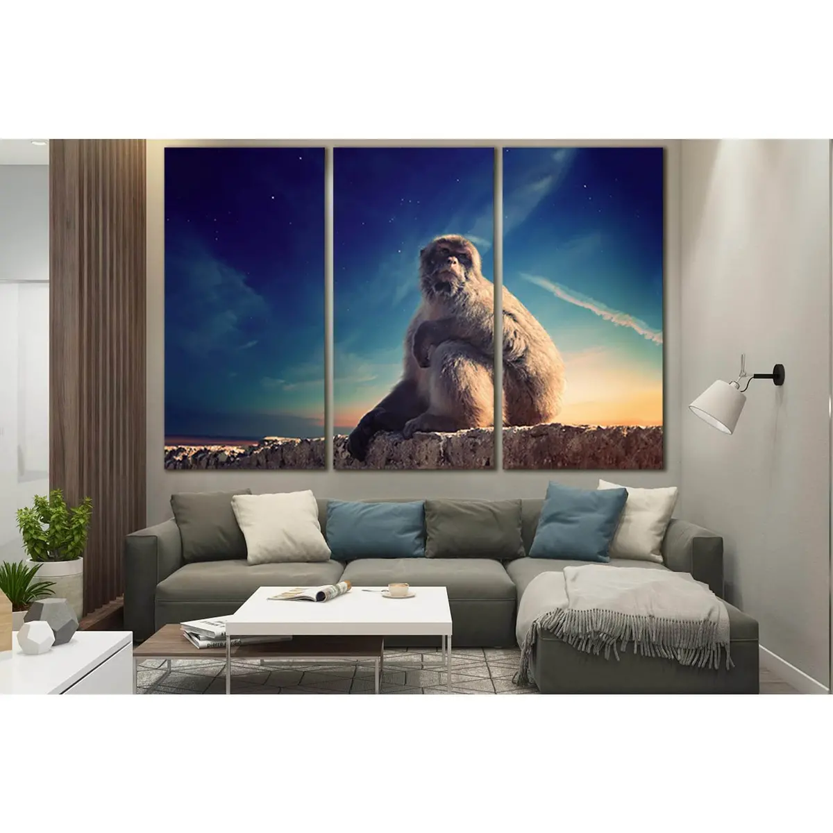 Monkey Sitting On A Stone №Sl1526 Ready To Hang Canvas Print 5