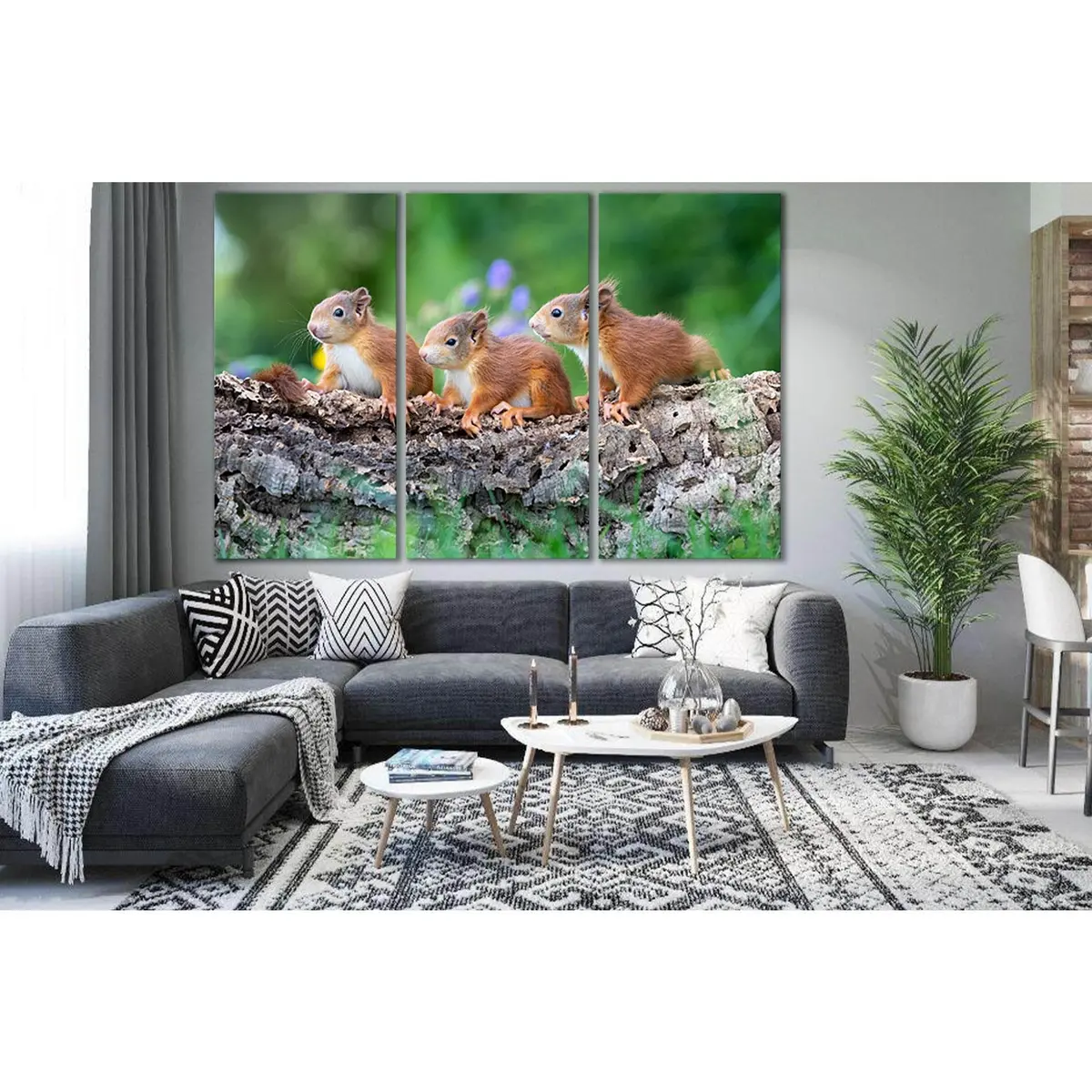 Three Cute Squirrels №Sl1514 Ready To Hang Canvas Print 5