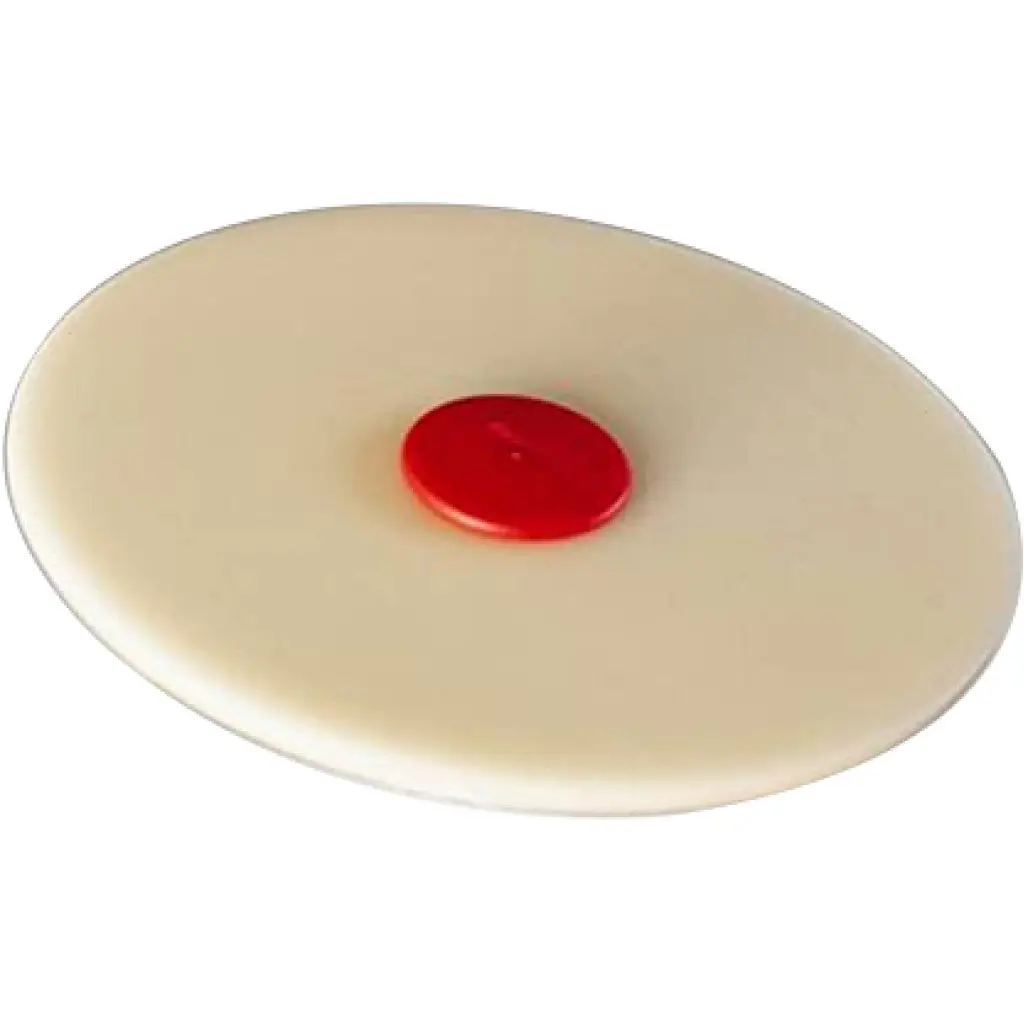 3M Scotch-Brite Adhesive&Stripe Removal Disk 1