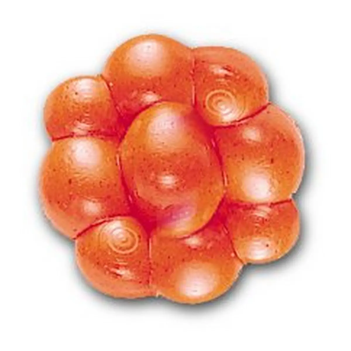 Berkley Powerbait Trout/Steelhead Egg Clusters 1