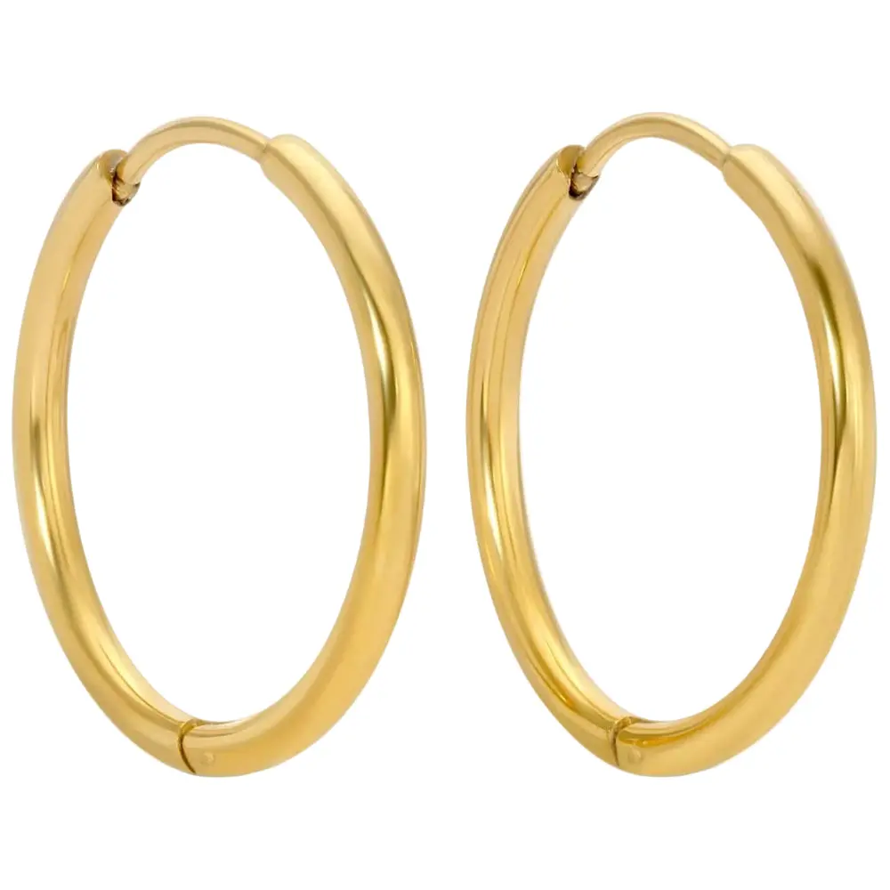 Splendid Iris Gold Pvd Plated Basic Huggie Earrings 1