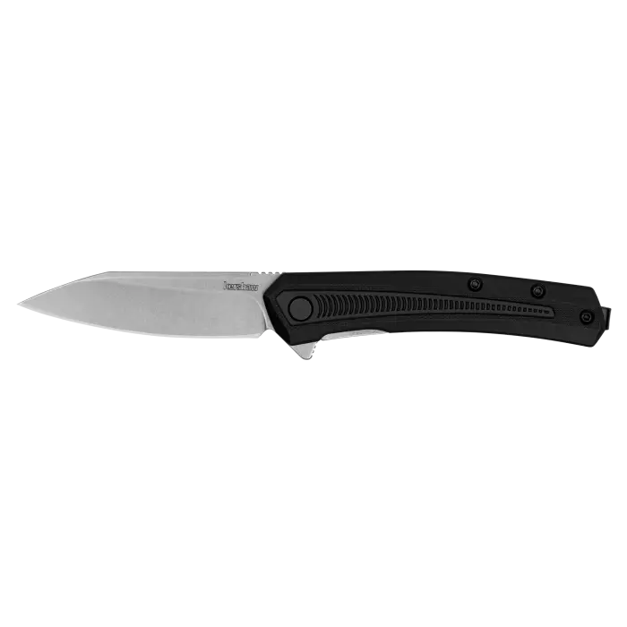 Kershaw Raygun Knife 1