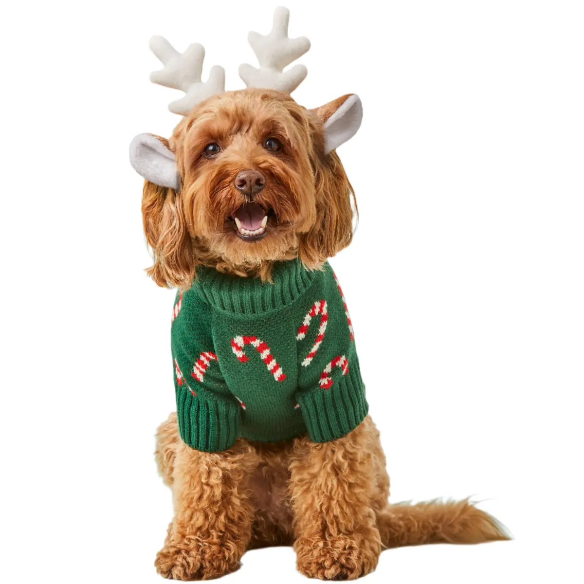 Foggy Dog Holiday Sweater - Candy Canes 1