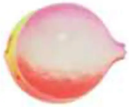 Yakima Bait Lil Corky B100 Sz 12 Peach Luminous 1