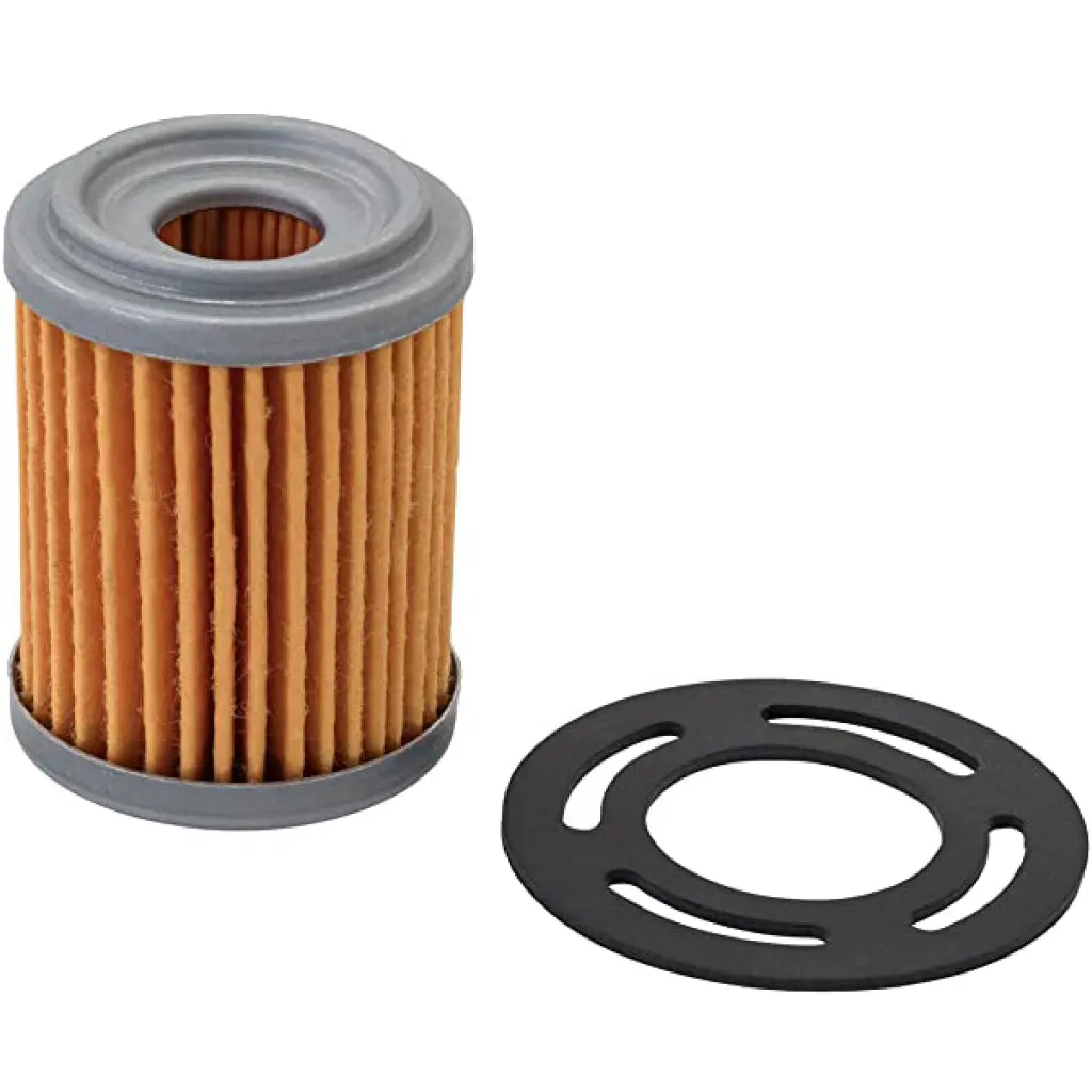 Rochester Fuel Filter 2 Barrel/Carter Fuel Pump 1