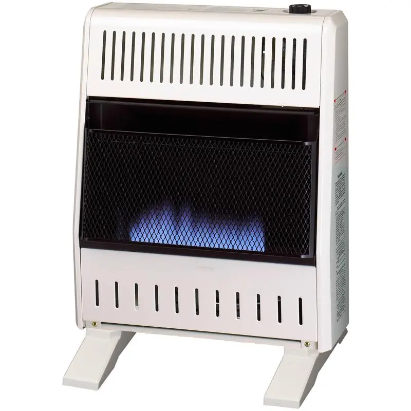 Procom 20,000 Btu Natural Gas Wall Heater 1