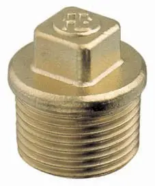 Brass Plug Bsp Male 1