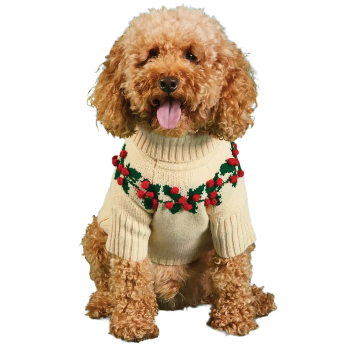 Foggy Dog Holiday Sweater - Holly Bobble 1