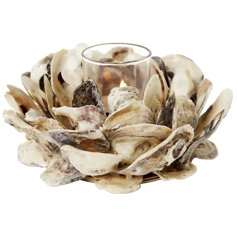 Oyster Shell Bunch Votive Candle Holder - 7" 1