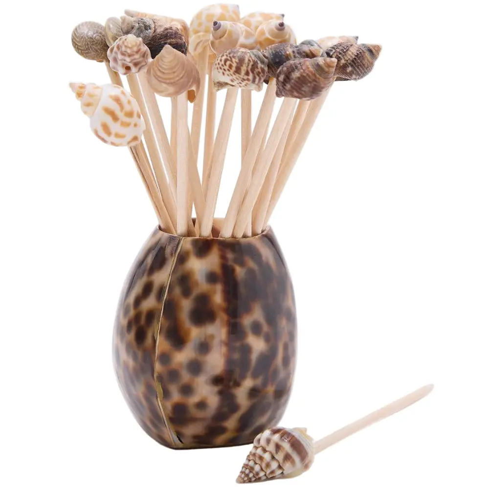 Tiger Cowrie Shell Toothpick Holder W/ Shell Toothpicks - 20 Pc. 1