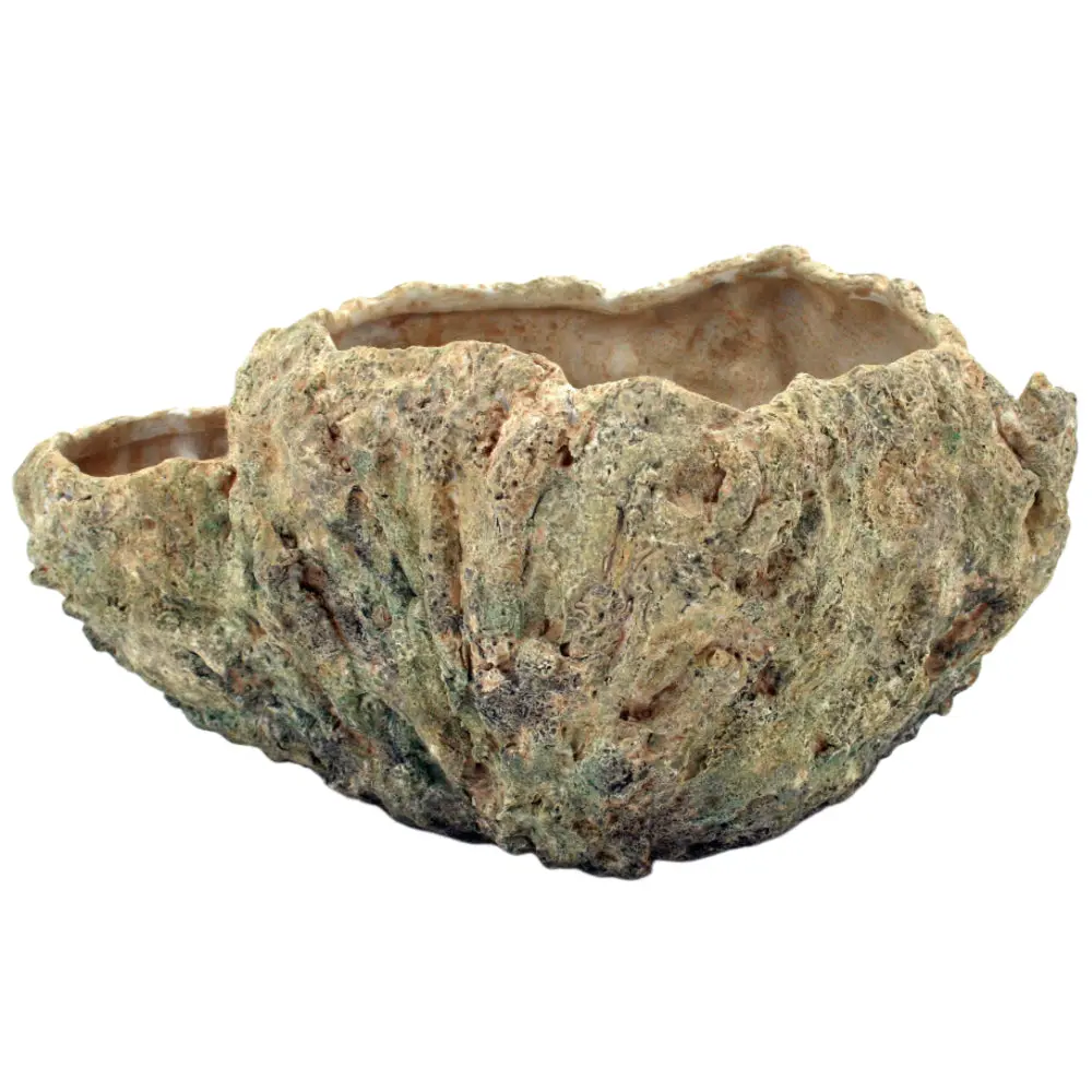 Modern Coastal Resin Coral Fossil Vase - 11.4" X 9" 1