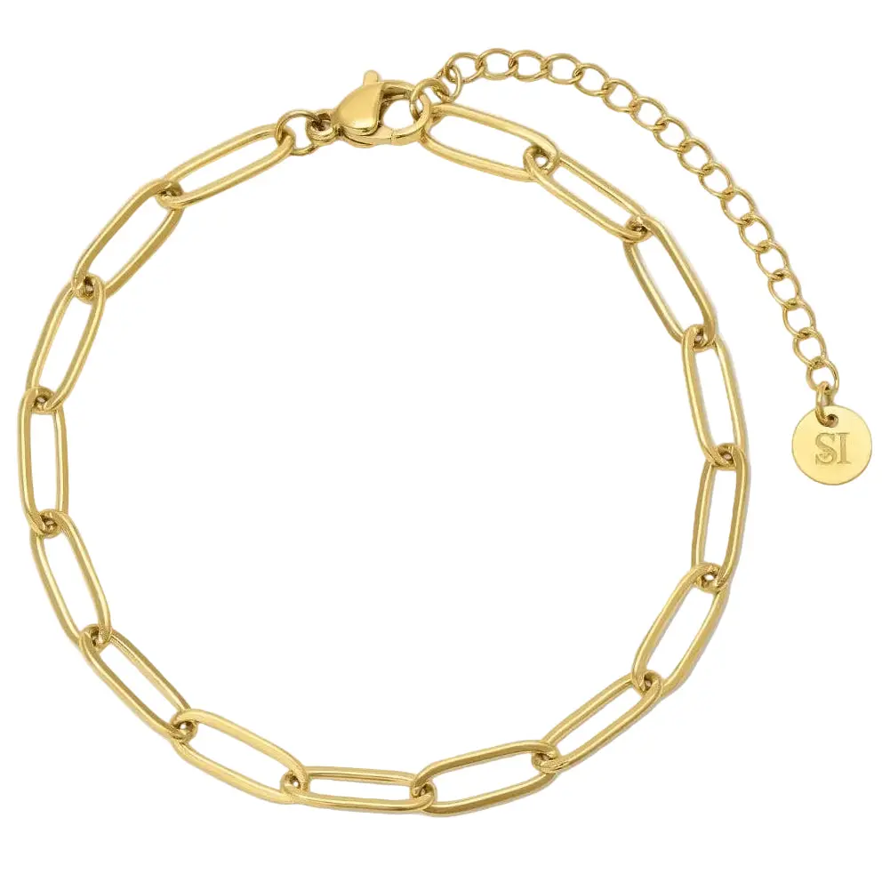 Splendid Iris Gold Pvd Plated Paperclip Bracelet 1