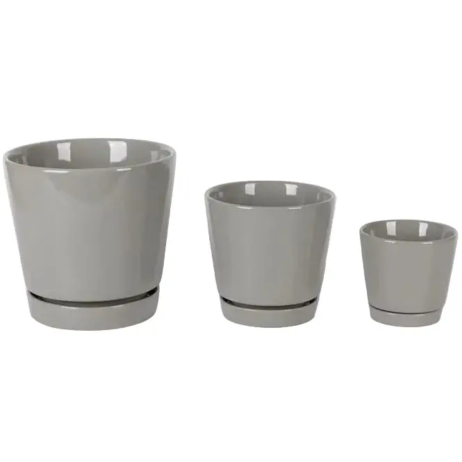 Border Concepts Ceramic Flair Saucer Planter - 4.5" To 8" 1
