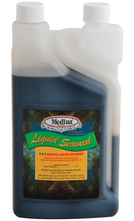 Medina Organic Liquid Seaweed - 1 Qt. 1