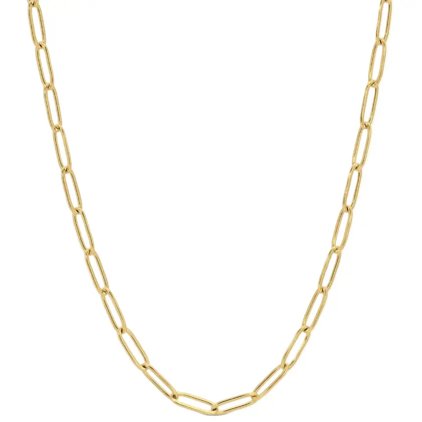 Splendid Iris Gold Pvd Plated Paperclip Necklace 1