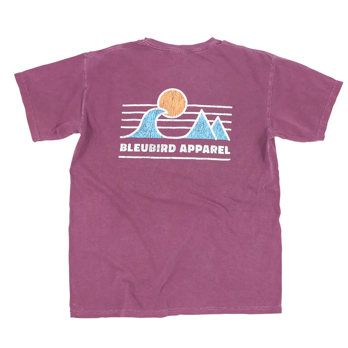 Bleubird Horizon Tee 4