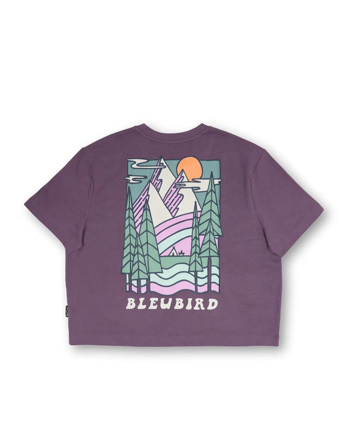 Bleubird Trailhead Cropped Tee 1