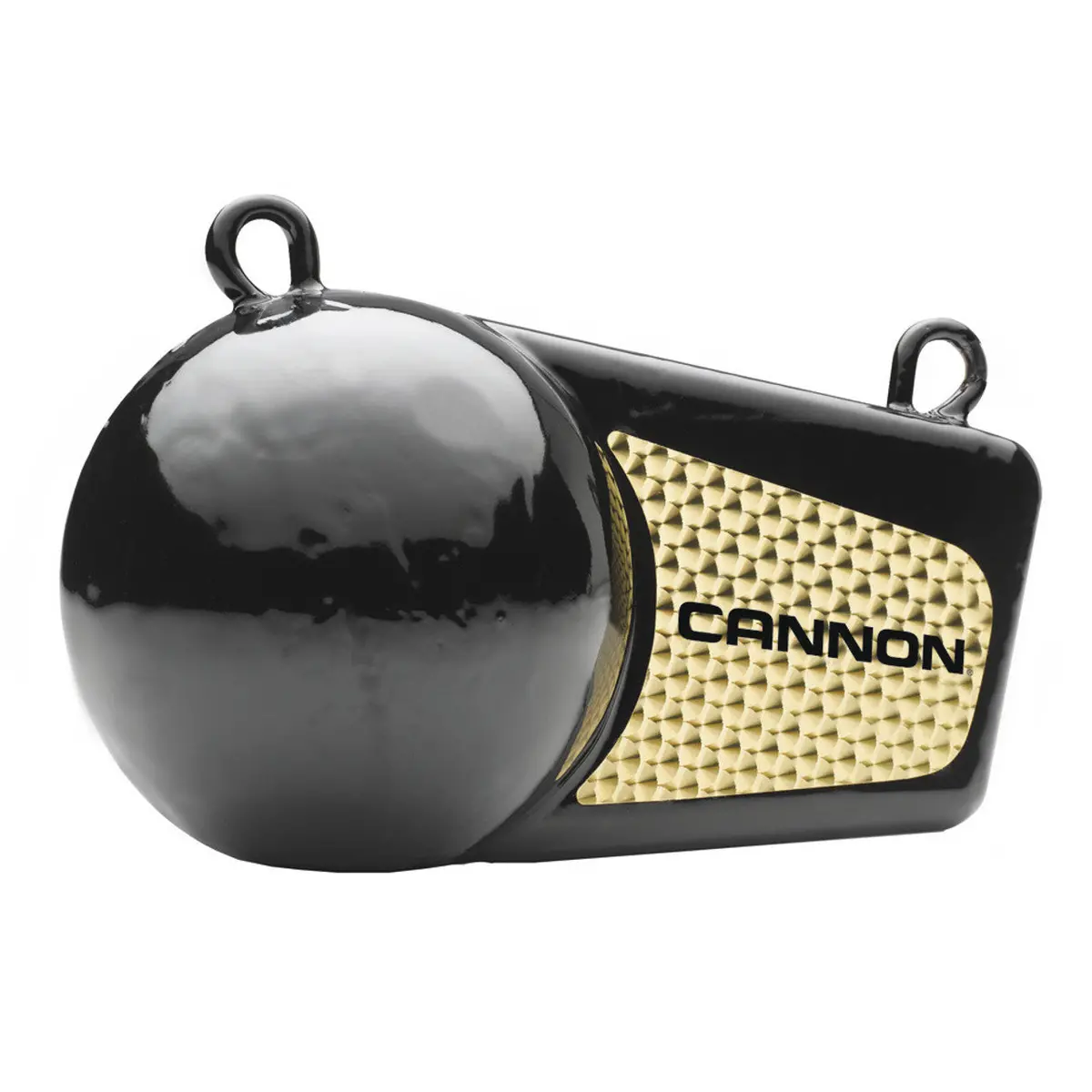 Cannon Flash Weight 10Lb 1