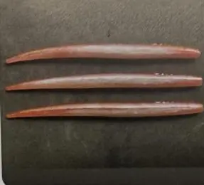 Vip Outdoors 9" Eel Bloody Tuna 1