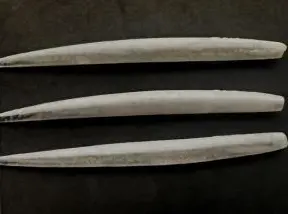 Vip Outdoors 9" Eel White/Silver 1