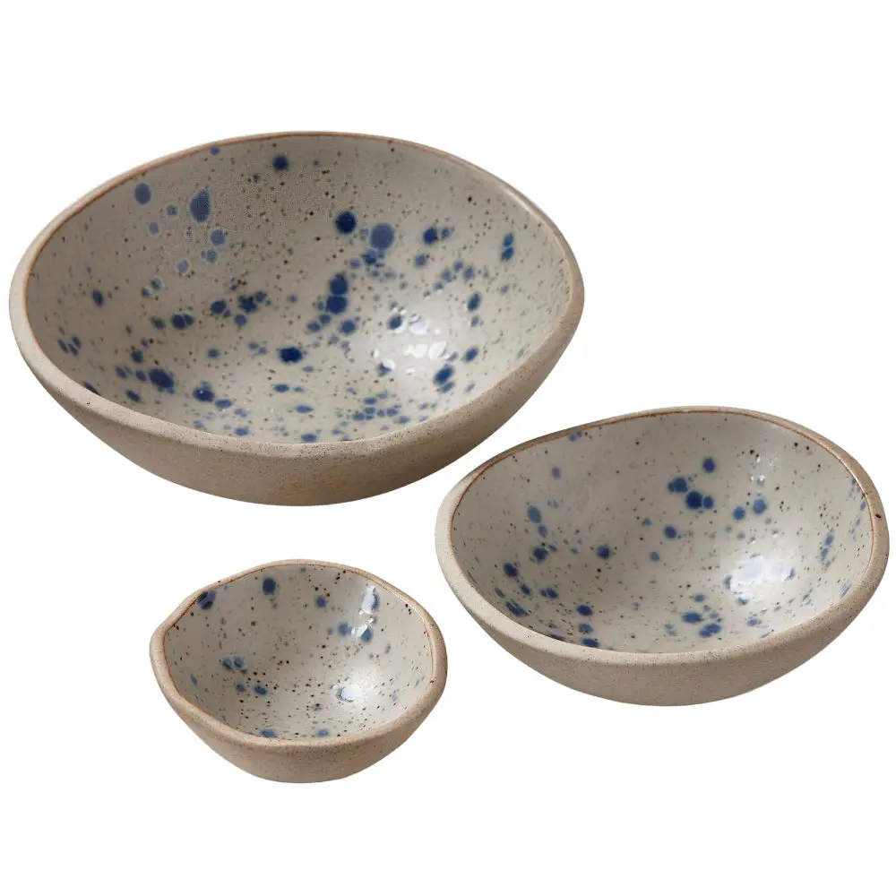 Tag Blue Speckled Porcelain Hudson Bowls 1