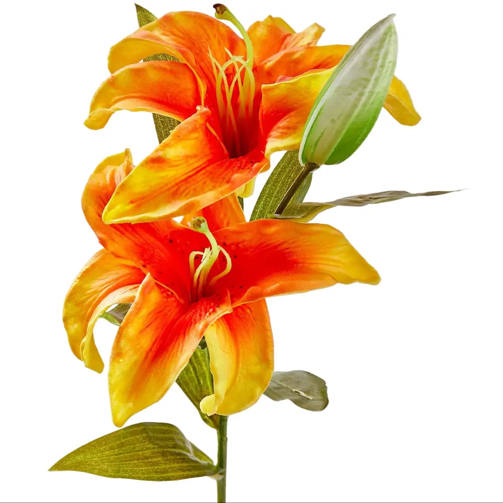 Tag Soft Touch Faux Lily - 23" 1