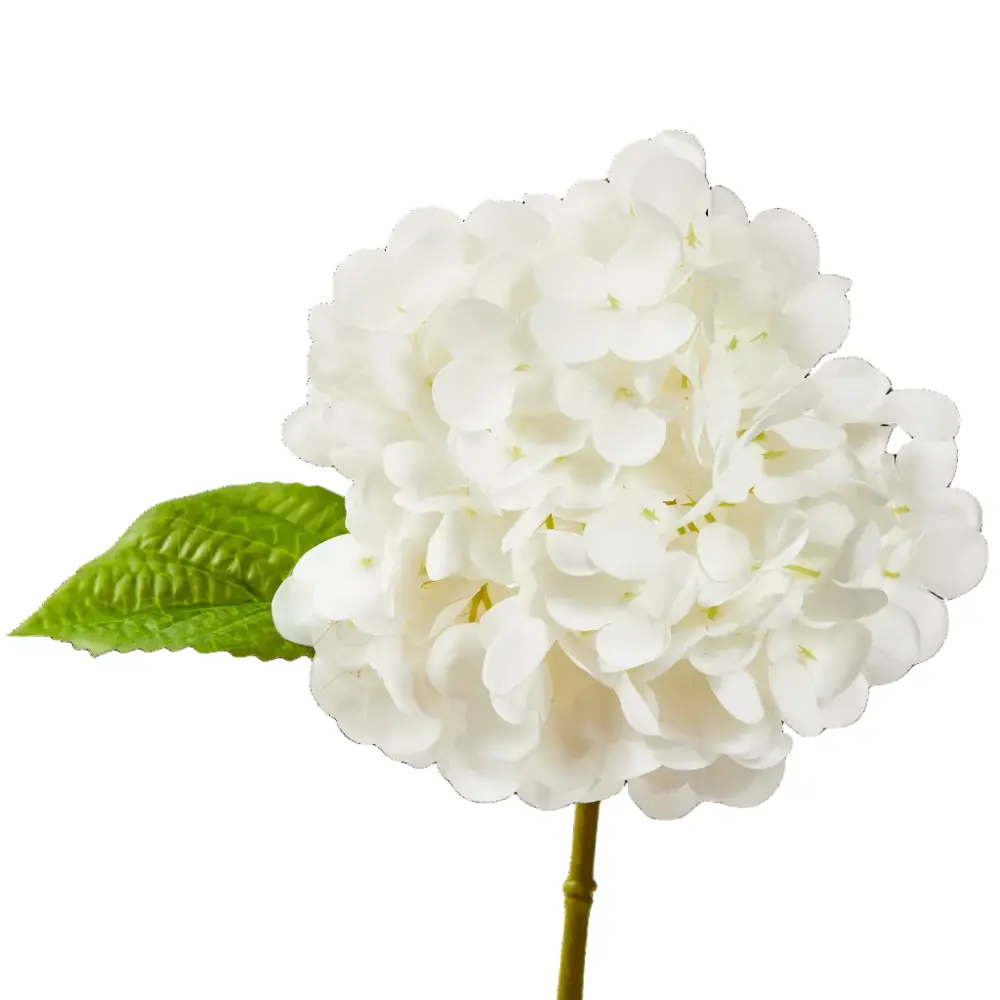 Tag Soft Touch Faux White Hydrangea - 13" 1