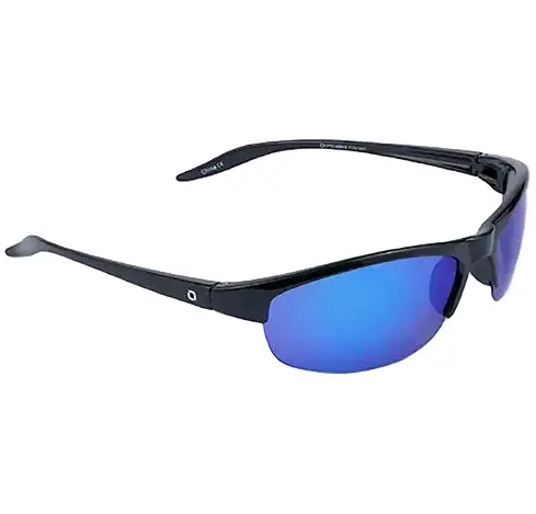 Optic Nerve Alpine Polarized Sunglasses 1