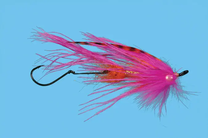 Solitude Signature Intruder 1
