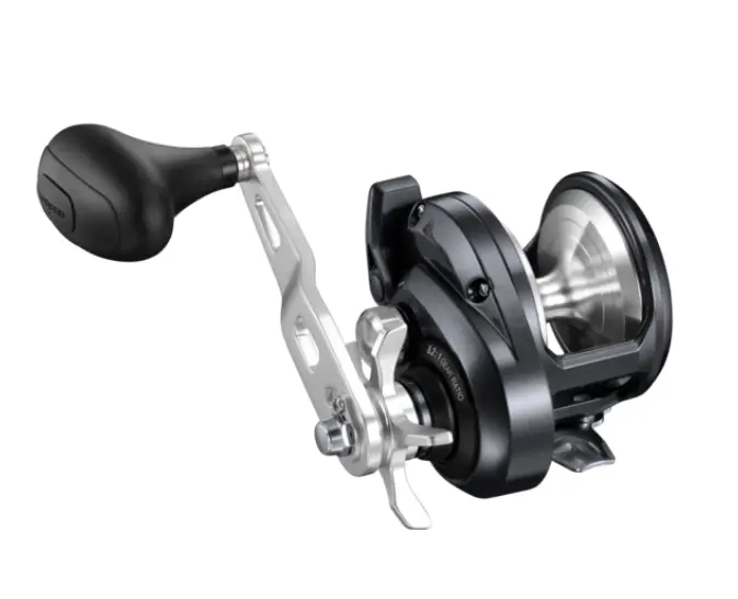 Shimano Torium 2000Hg A Conventional Reel 1