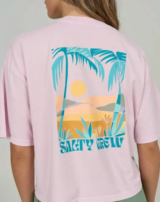 Salty Crew Travel Far Skimmer Tee 1