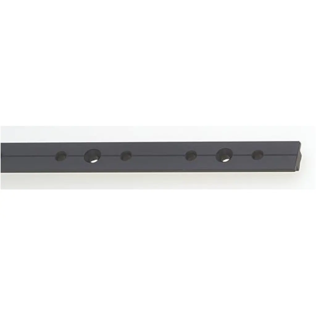 Viadana T-Track Black 1" X 2 Meters 1