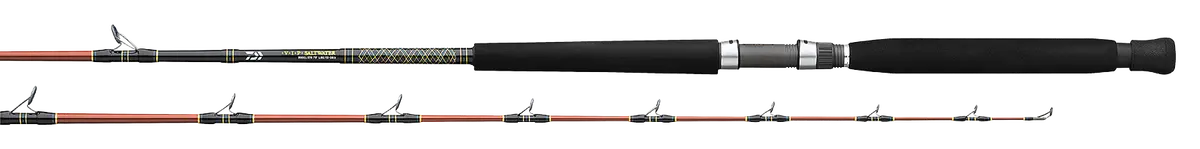 Daiwa V.I.P. A Saltwater Rod 1