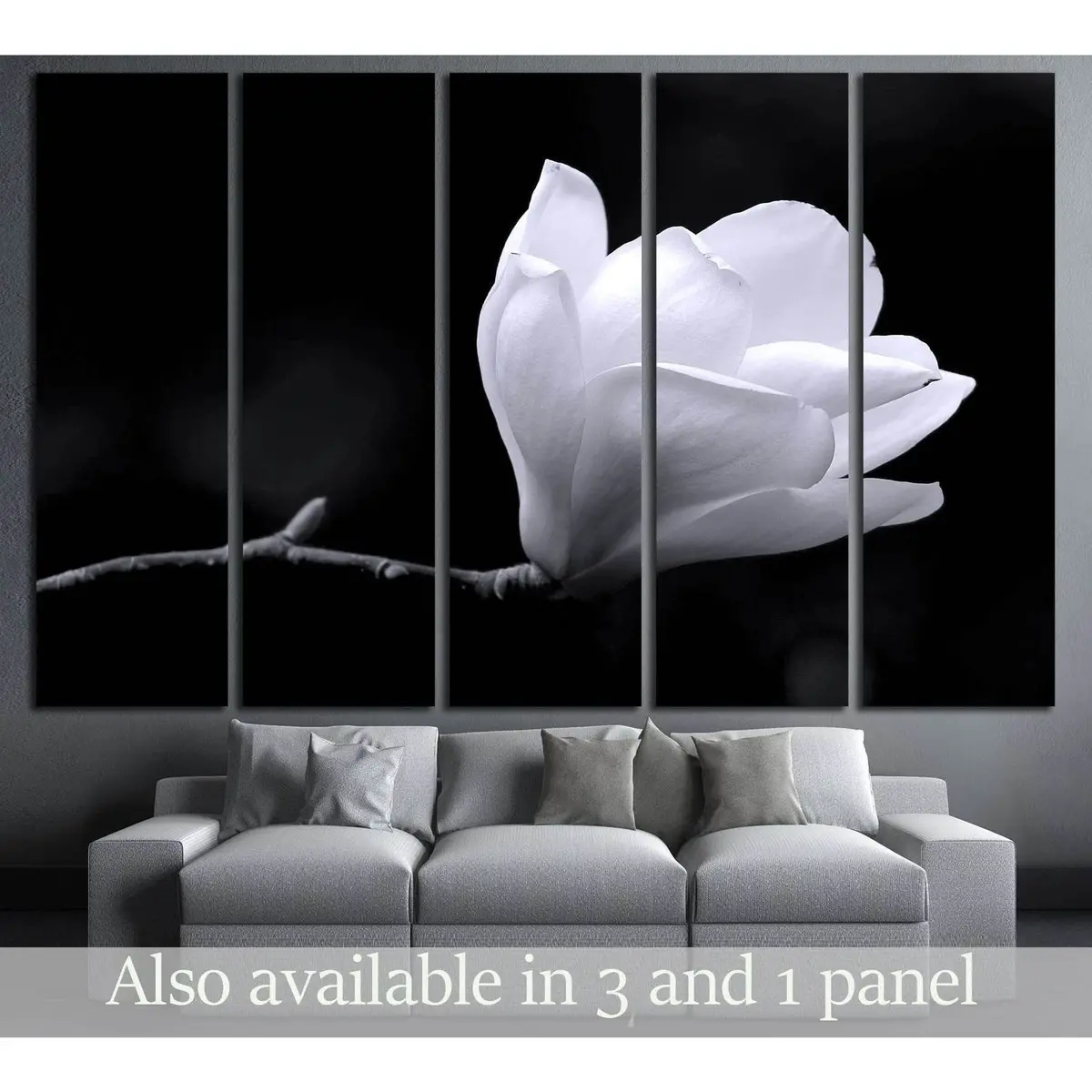Elegant Black & White Magnolia Blossom Fine Art Canvas Print – Ready to Hang