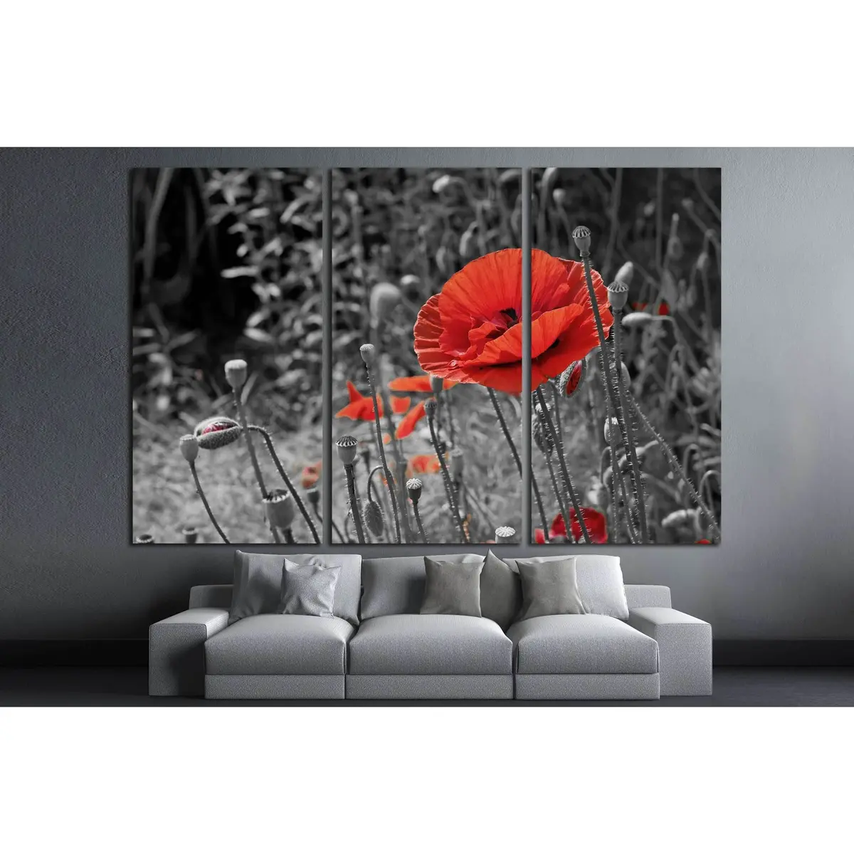 A Closeup Of A Red Poppy On A Black And White Background №2752 Ready To Hang Canvas Print 5