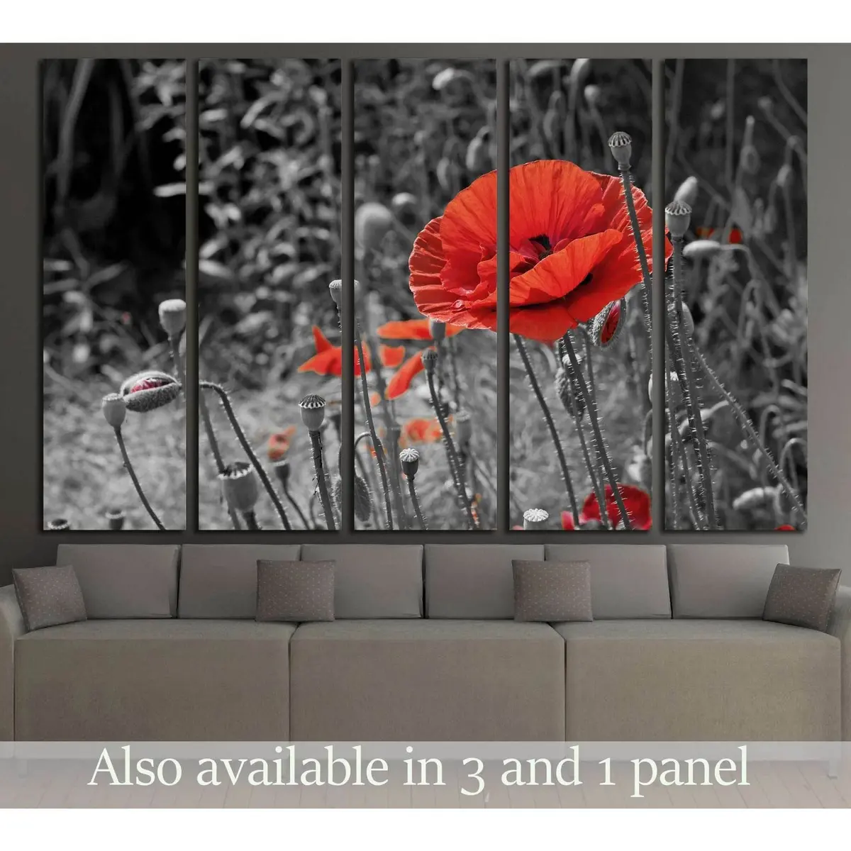 Red Poppy Closeup on Minimalist Black-and-White Canvas Print – Ready-to-Hang Wall Art #2752