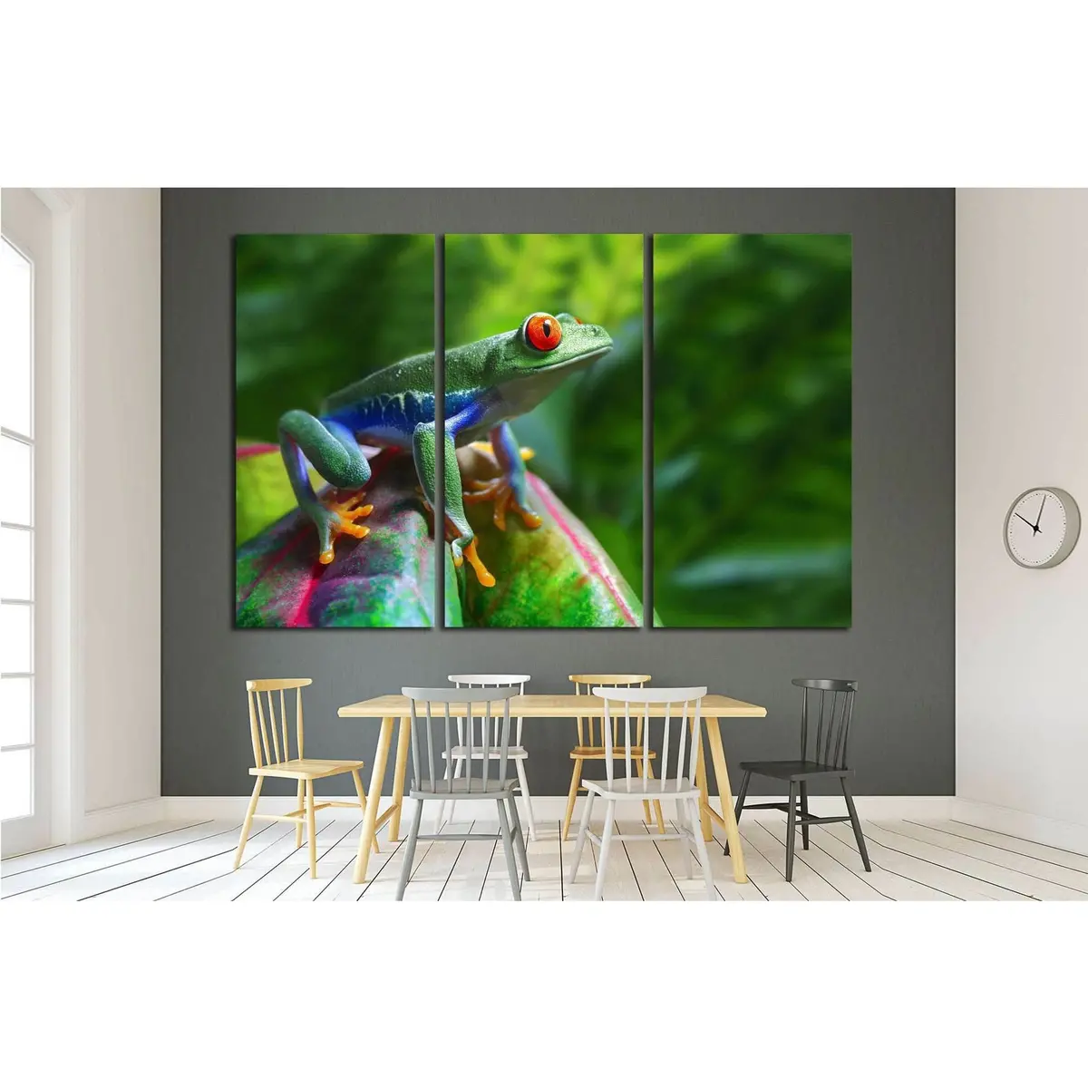 A Colorful Red-Eyed Tree Frog In Its Tropical Setting №1840 Ready To Hang Canvas Print 5