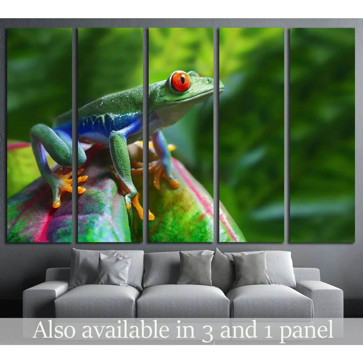 Vibrant Red-Eyed Tree Frog Tropical Canvas Wall Art – Ready-to-Hang Print #1840