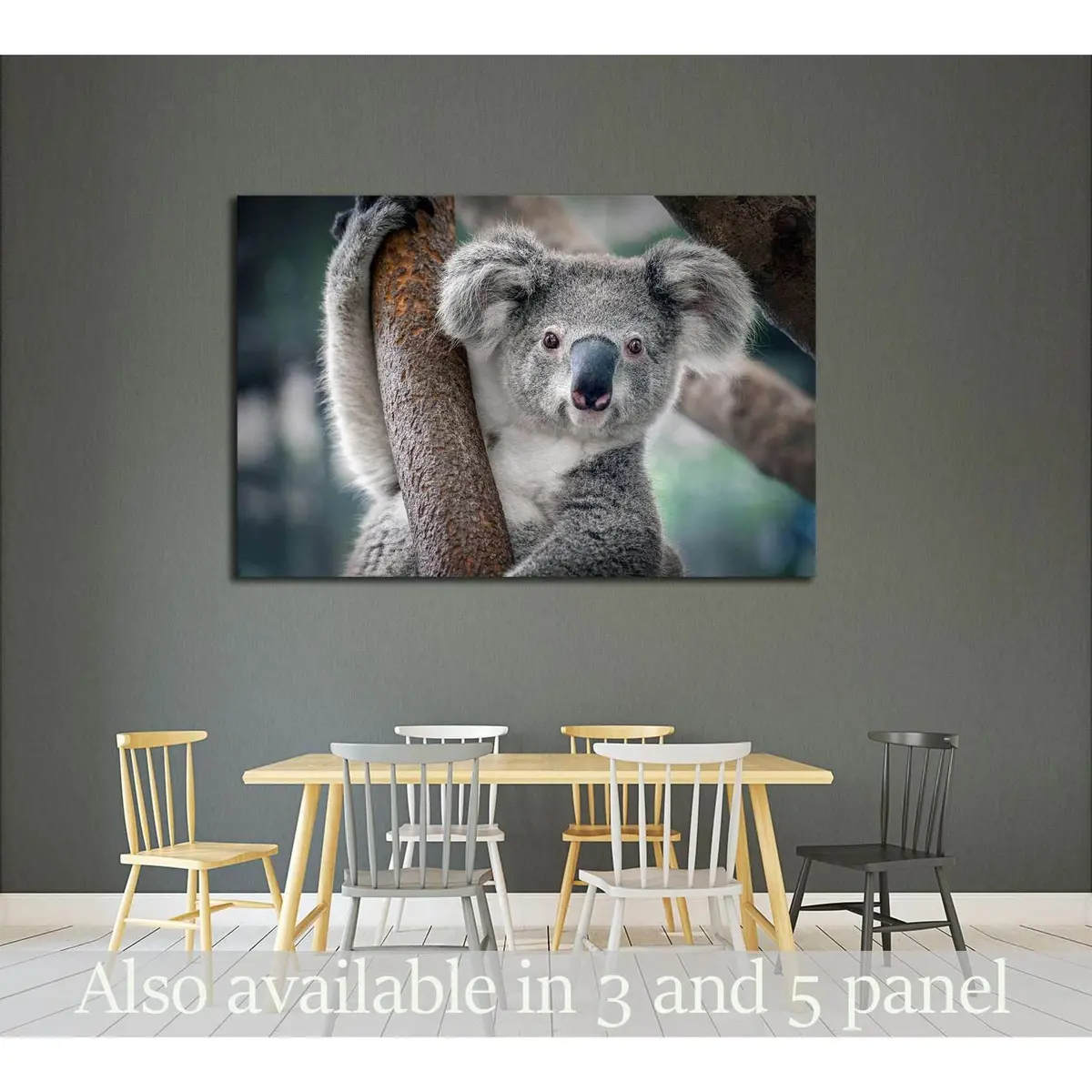 A Cute Koala №2378 Ready To Hang Canvas Print 1