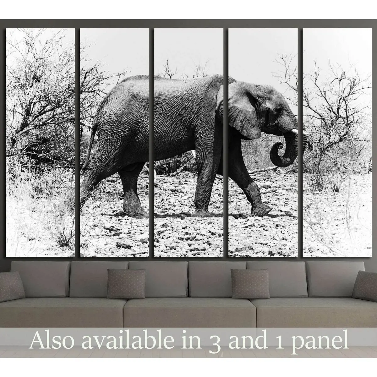 Majestic African Elephant in Natural Habitat, Chobe National Park, Botswana — Canvas Wall Art #1846
