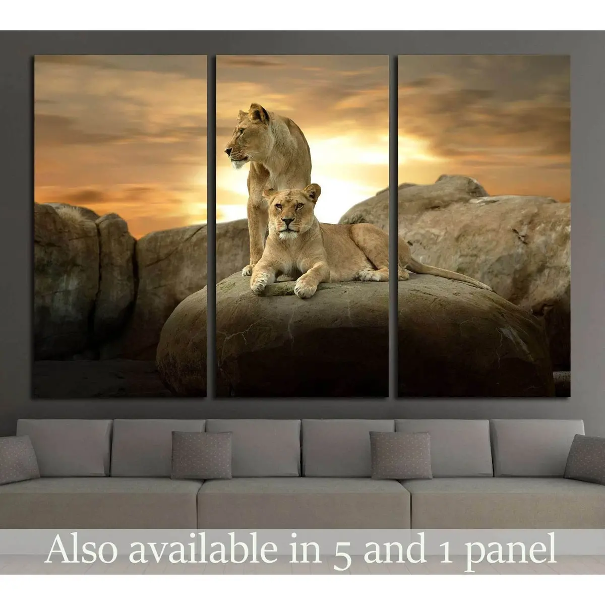 African Lion №2351 Ready To Hang Canvas Print 5