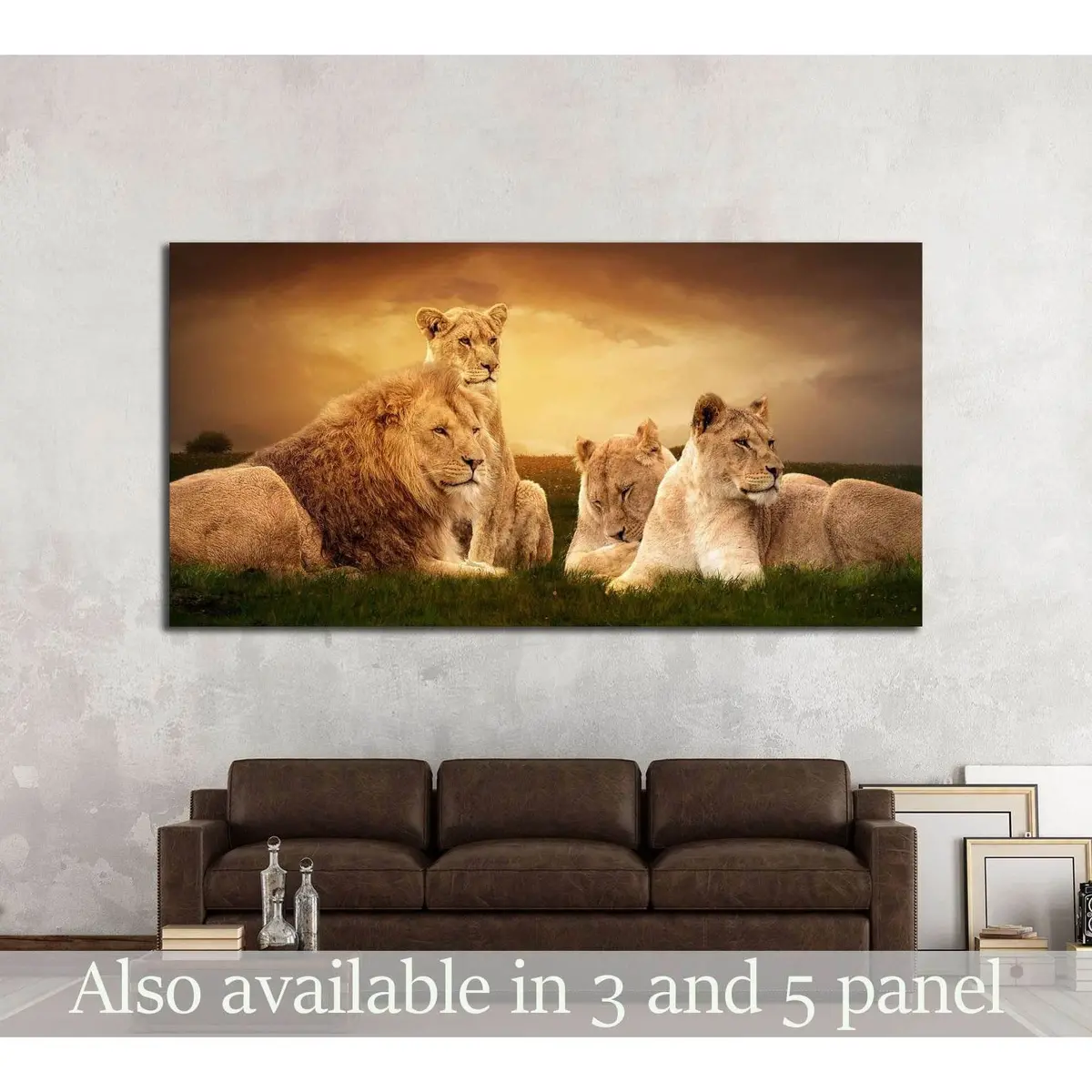 African Lions Resting At Sunset In The Grass №2370 Ready To Hang Canvas Print 1