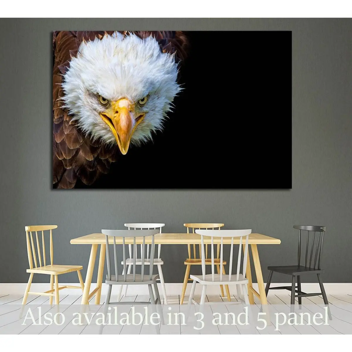 Angry North American Bald Eagle On Black Background №1863 Ready To Hang Canvas Print 1