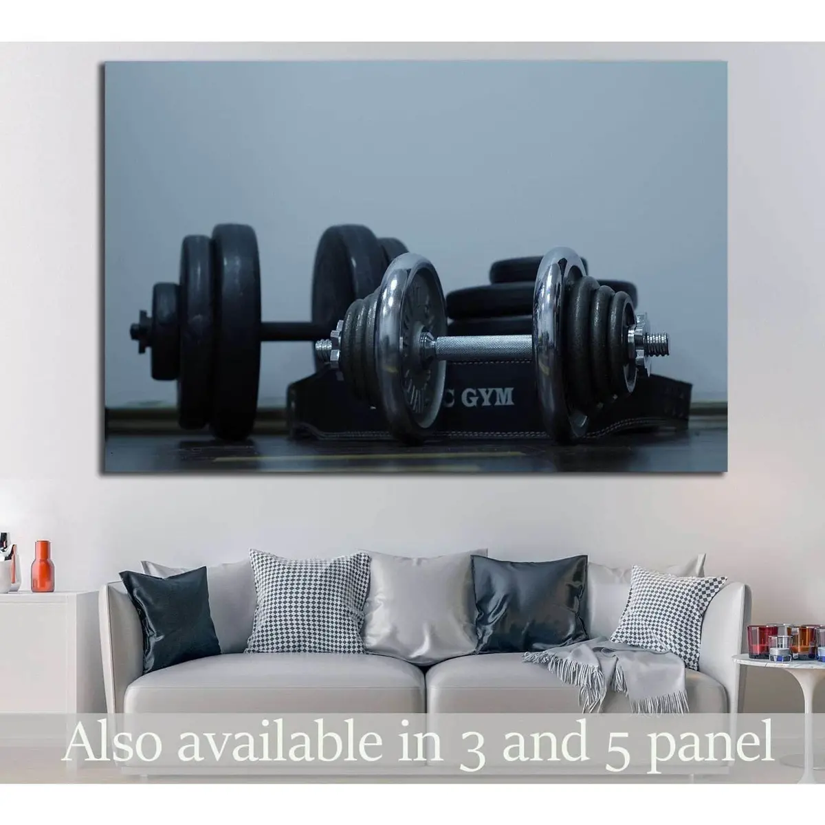 Barbells №1468 Ready To Hang Canvas Print 1