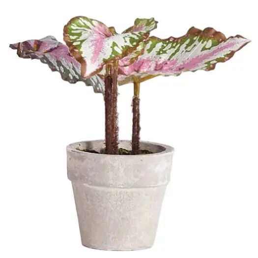 Napa Potted Faux Mini Begonia - 5.5" 1