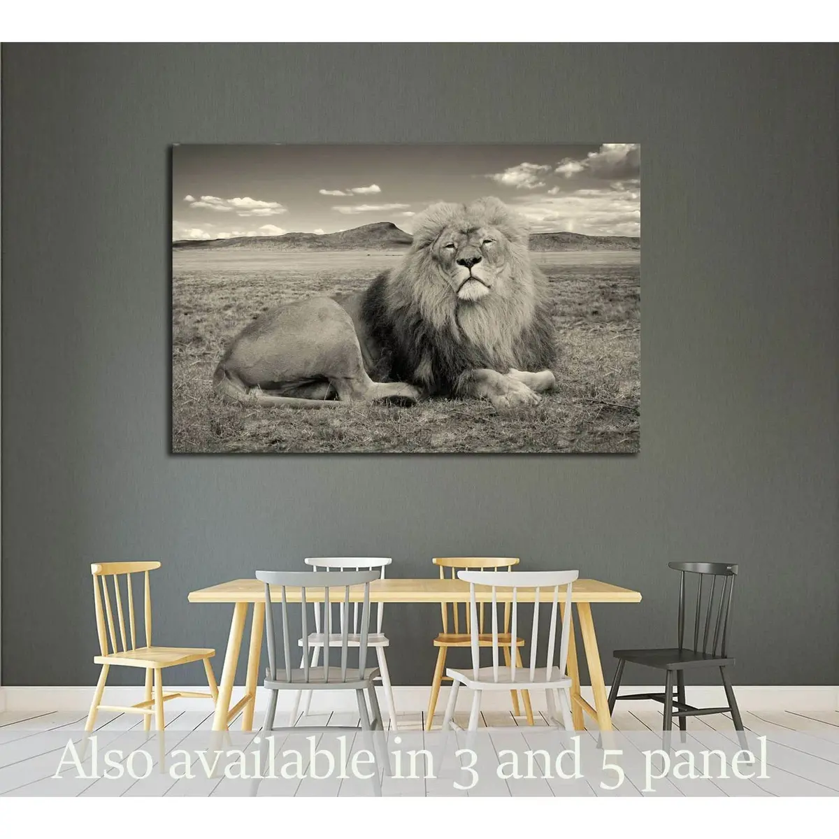 Beautiful African Lion, Wonderful Image Of African Wildlife №2365 Ready To Hang Canvas Print 1