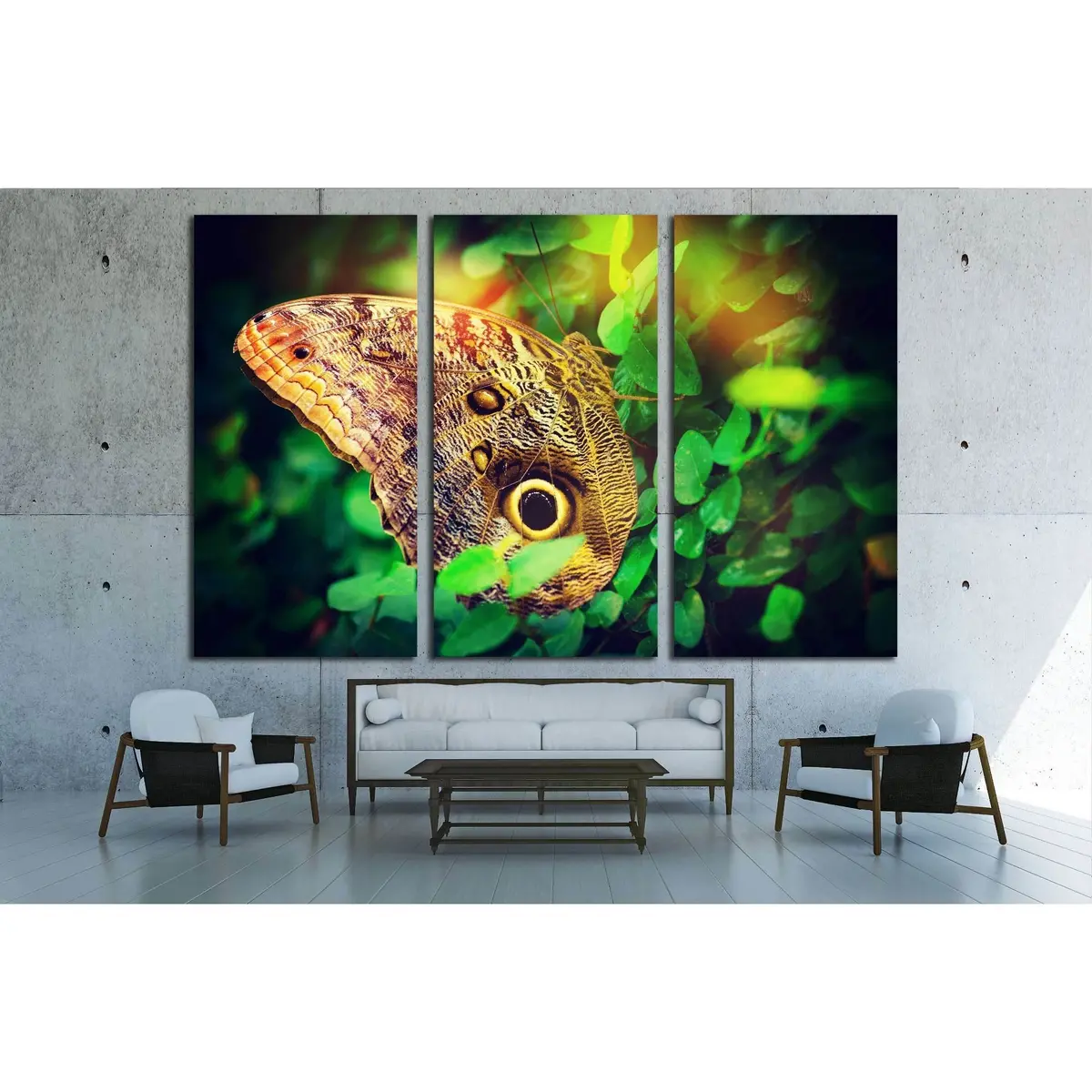 Beautiful Butterfly №2798 Ready To Hang Canvas Print 5