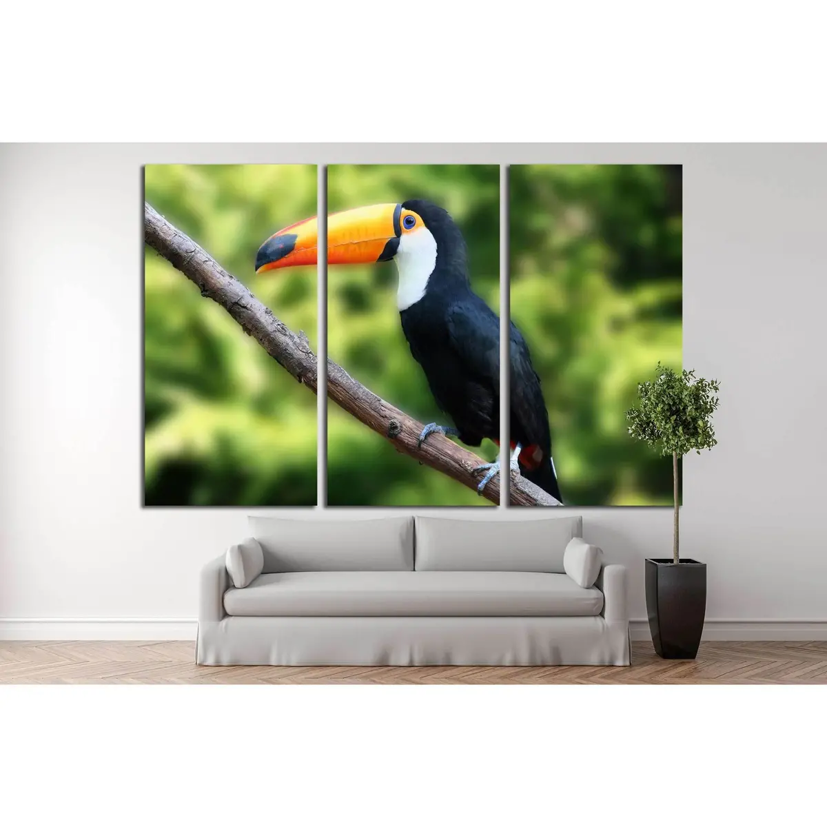 Beautiful Tucan, Sitting On A Branch №2788 Ready To Hang Canvas Print 5