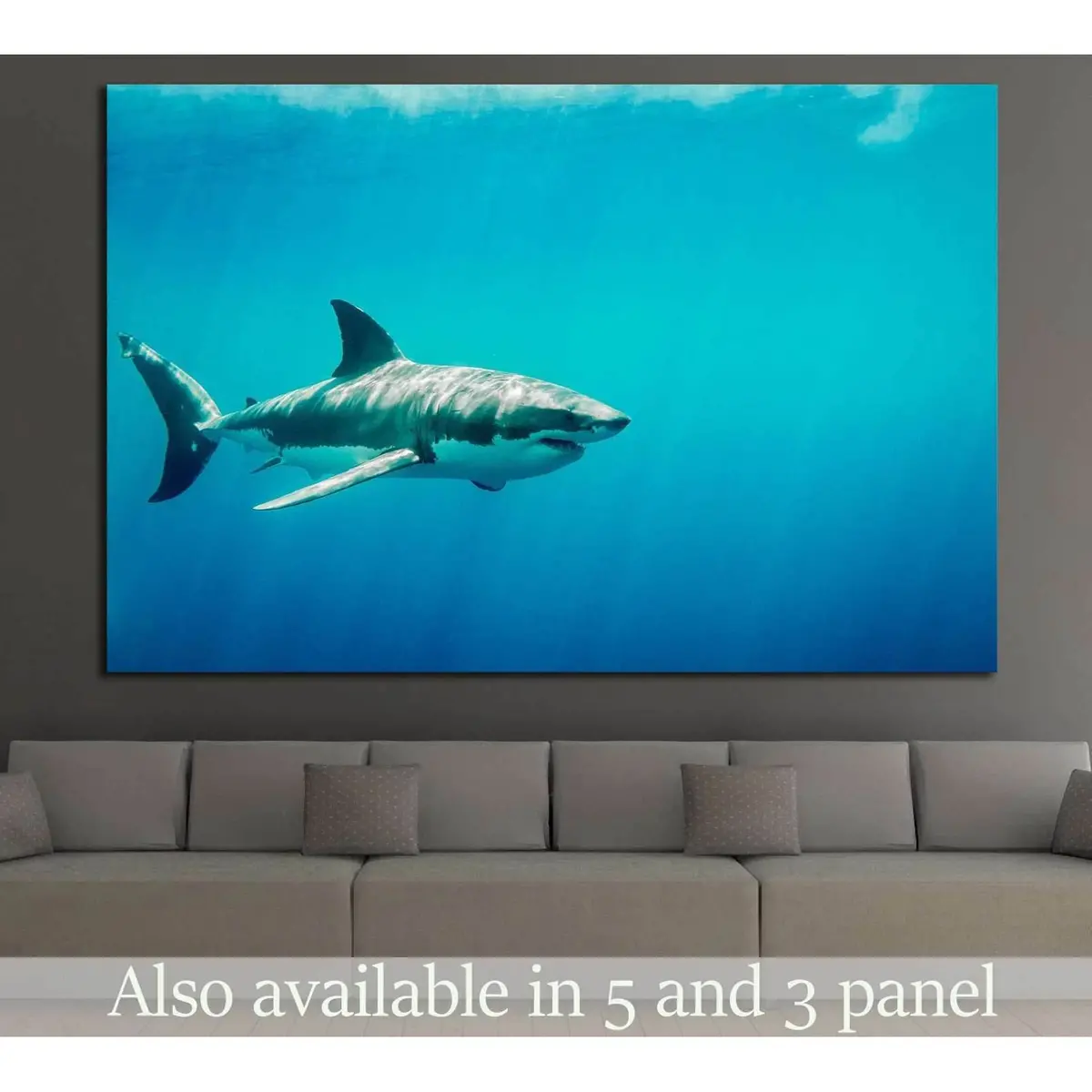 Big Shark №500 Ready To Hang Canvas Print 1